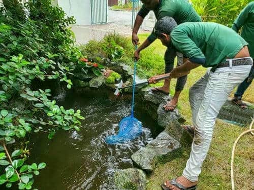 Pond Cleaning Services