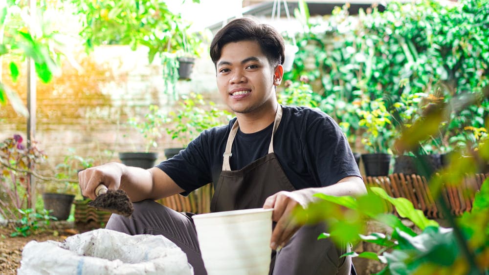 singapore gardening services singapore gardening services