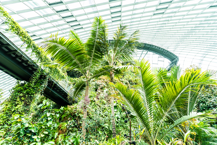 singapore landscaping service